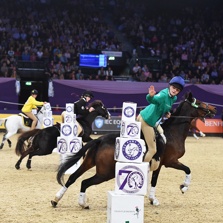 The Arenacross Tour 2019